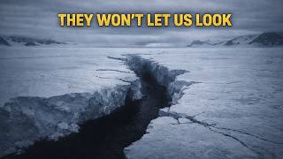 Celebrity DNA Found Under Antarctic Ice Scientists Still Can't Explain Profile