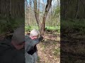 Red Fox Creekside #archery #traditionalarchery #bowhunting