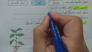السنة الثانية ابتدائى حل اختبار في التربية العلمية النمودج 3 الفصل الأول الجيل الثانى