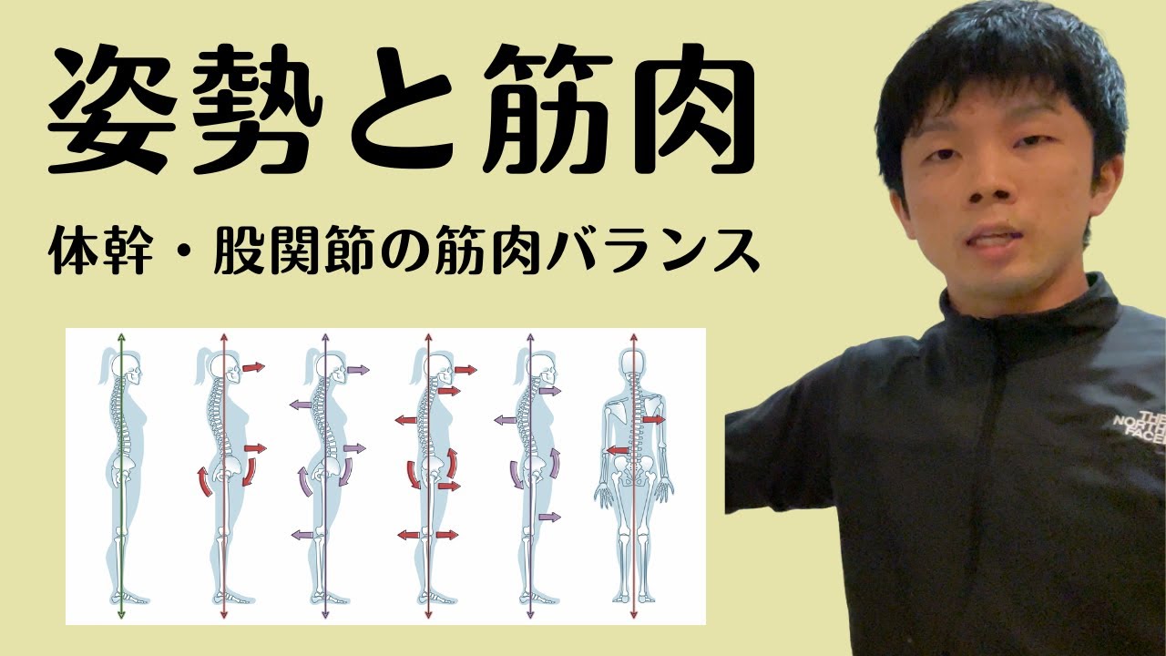 【姿勢改善・歪み改善で知っておきたい筋肉バランス】現代人の多くの方の姿勢パターンに共通する体幹・股関節周りの筋肉のアンバランス！【愛媛県松山市　ピラティス・整体】