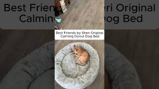 This Plush Dog Donut Bed Is Seriously Cozy
