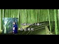 岩佐美咲 ( Iwasa Misaki ) -  20歳のめぐり逢い (LYRICS)