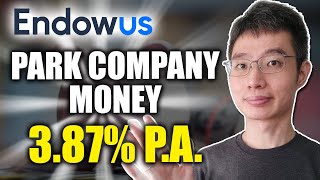 Why I Invested My Company Funds With Endowus