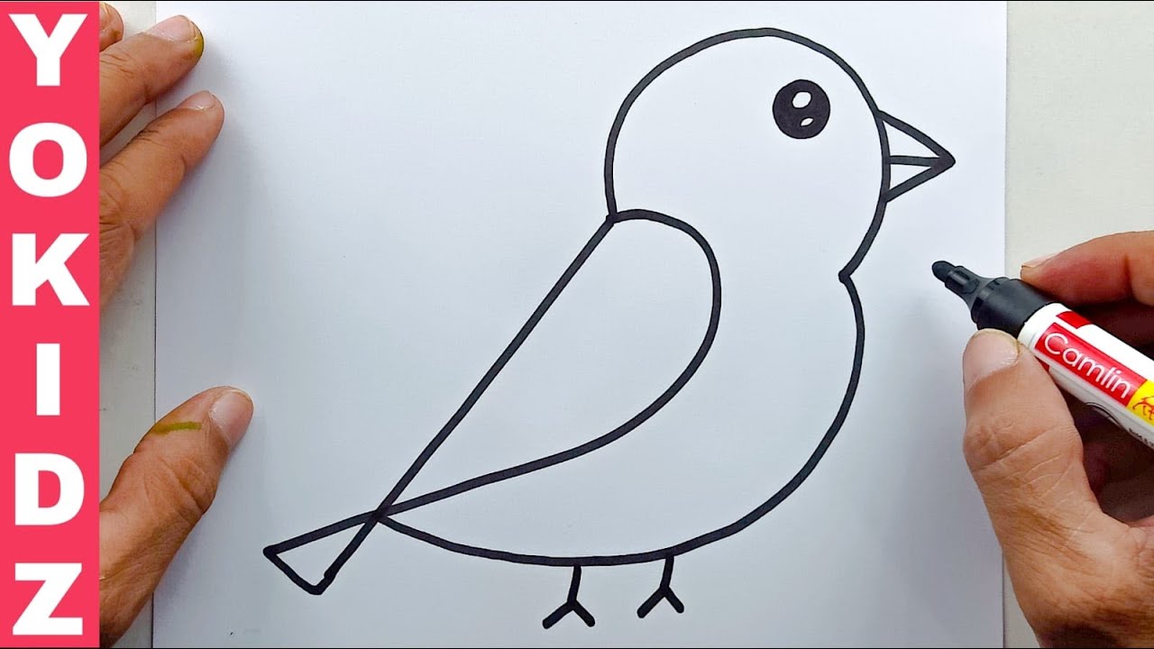 How to Draw A Bird Easy - YouTube