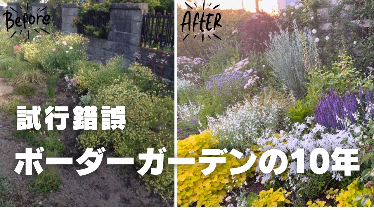 《お庭作り10年／植えたい品種がきっと見つかる！》長年つないでいける草花教えます／ボーダーガーデン2014～2023年総まとめ／長命な宿根草、低木、ローコスト花壇の味方こぼれ種