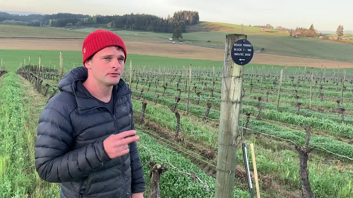 Guadalupe Vineyard at Sunrise w/ Mikey D. Etzel