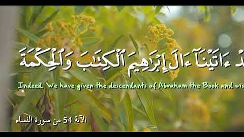 الاية 54 من سورة النساء.   Abdo_Ahweedy#
