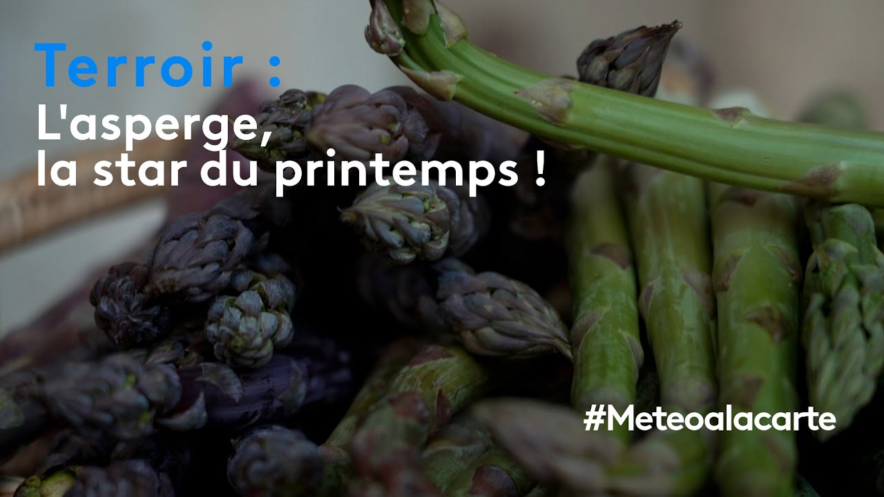Terroir : l'asperge, la star du printemps !