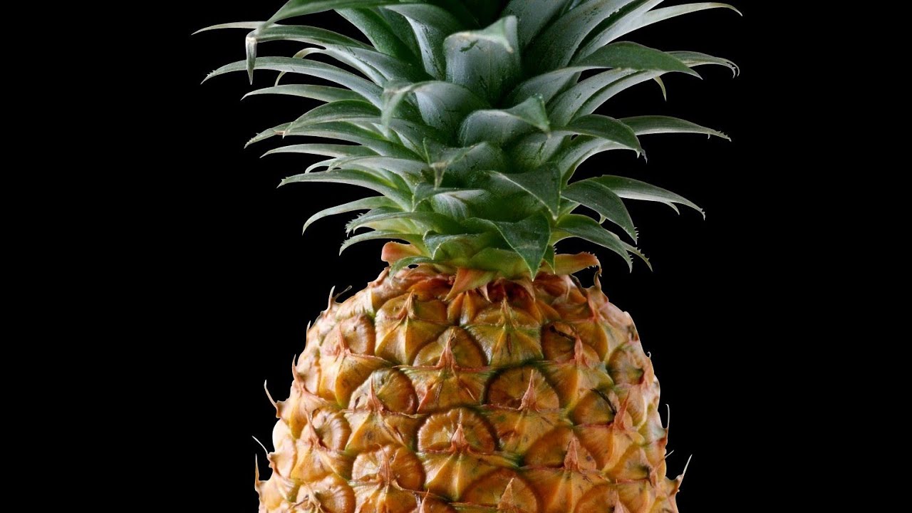 ананас сервер майнкрафт от владуса+лотерея - YouTube