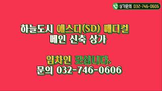 영종 상가 하늘도시 에스디 메디컬 메인 상가 임대, 분양