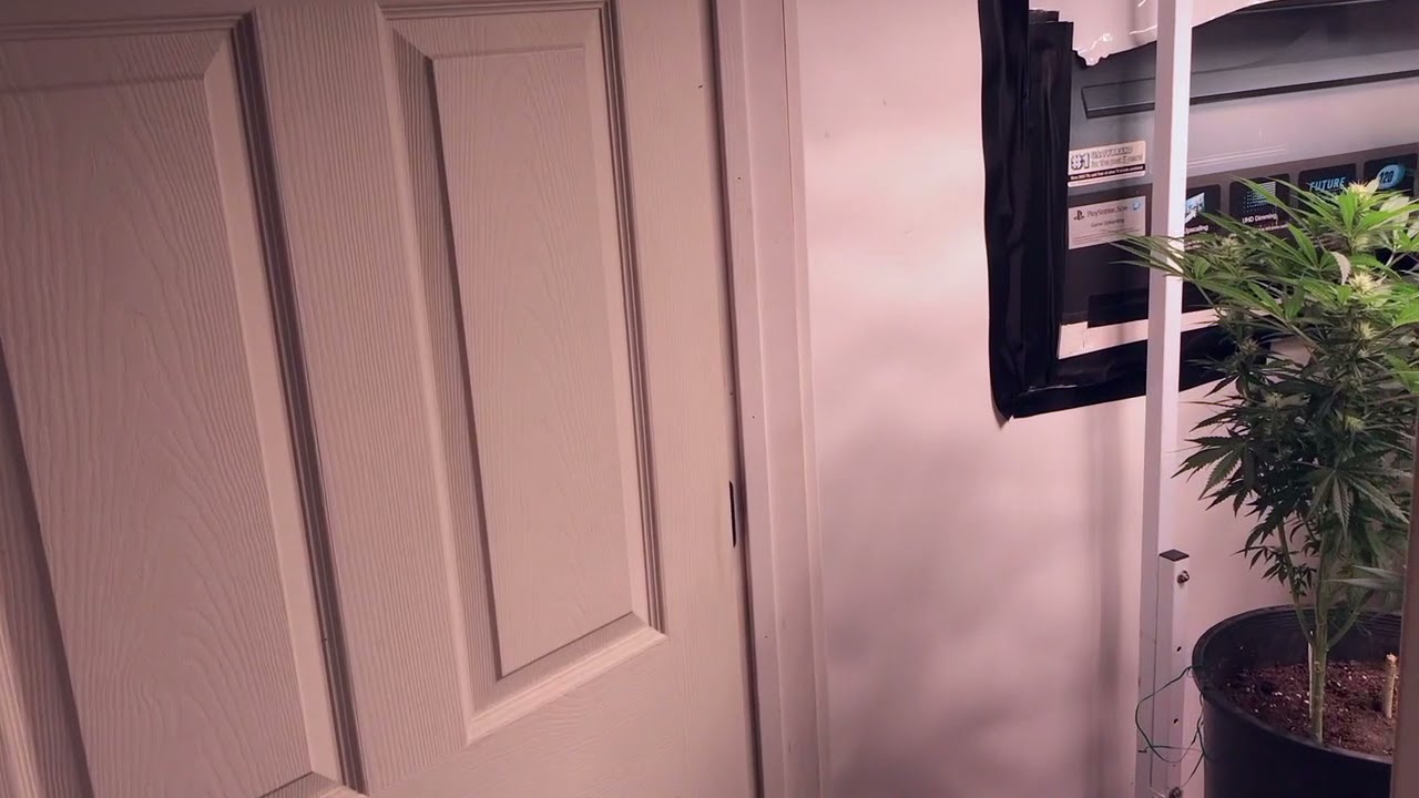 May 26 2019 Medical Cannabis Garden Tour