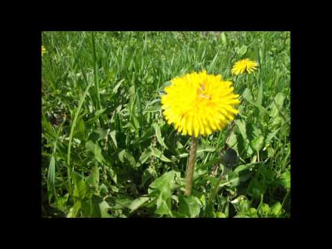 そしてめぐり逢い　 五木ひろし　cover　♪tonarino