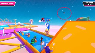 Fall Guys Mouse On Screen Fix