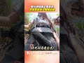 男玩滑翔翼「起飛失敗」慘摔!　跌樹叢遭教練當「人體緩衝墊」｜TVBS新聞@TVBSNEWS01