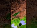 કપાસ #vieral #farming #farming