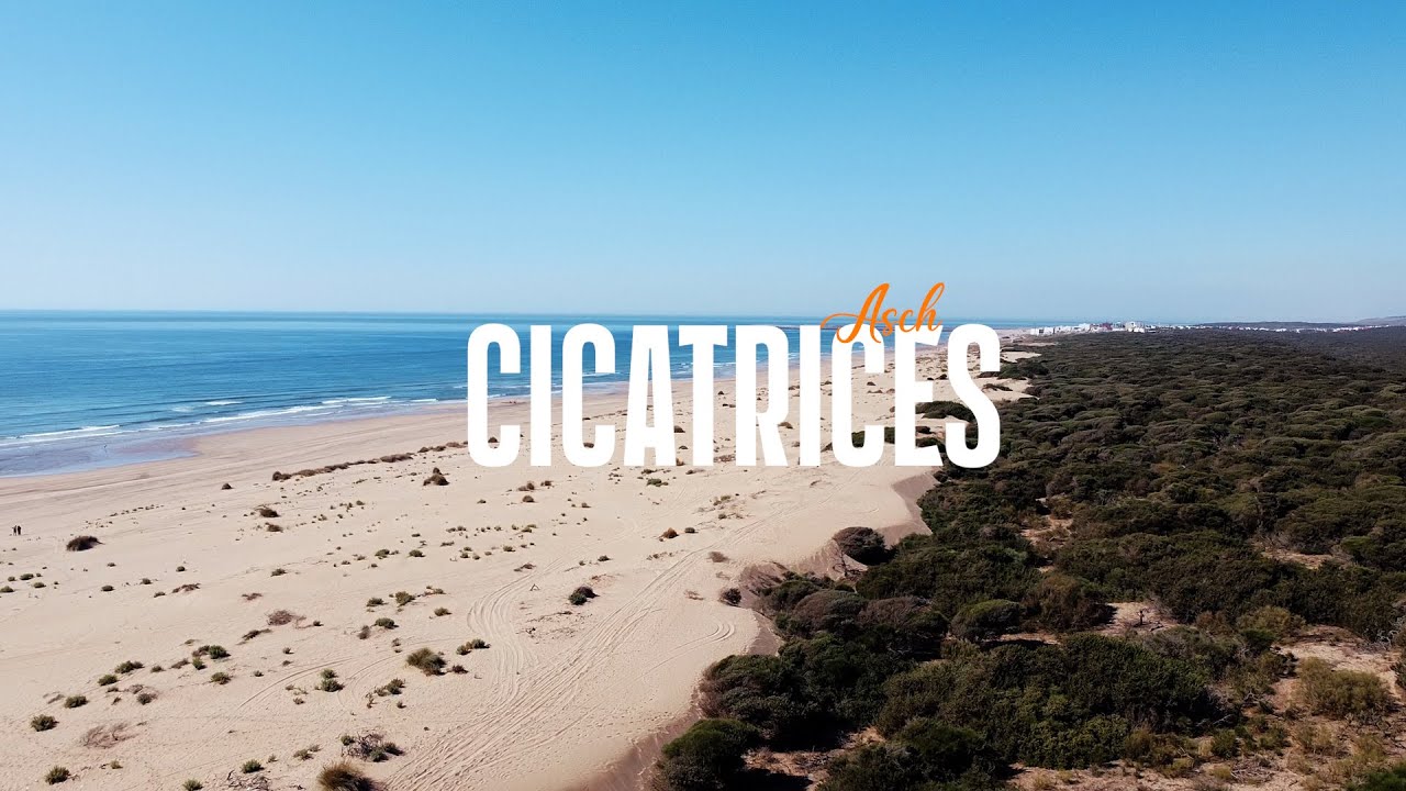 Asch (M8A)-Cicatrices