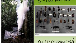 APES CH 5 Part 1