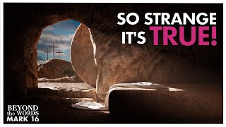 6 Strange Moments that Prove the Resurrection MUST Be True | Mark 16 | Beyond the Words