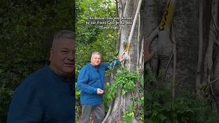 Plant A Banyan Sapling.