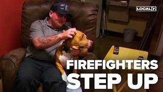 'Please help my baby:' Firefighters adopt homeless veteran's beloved dog