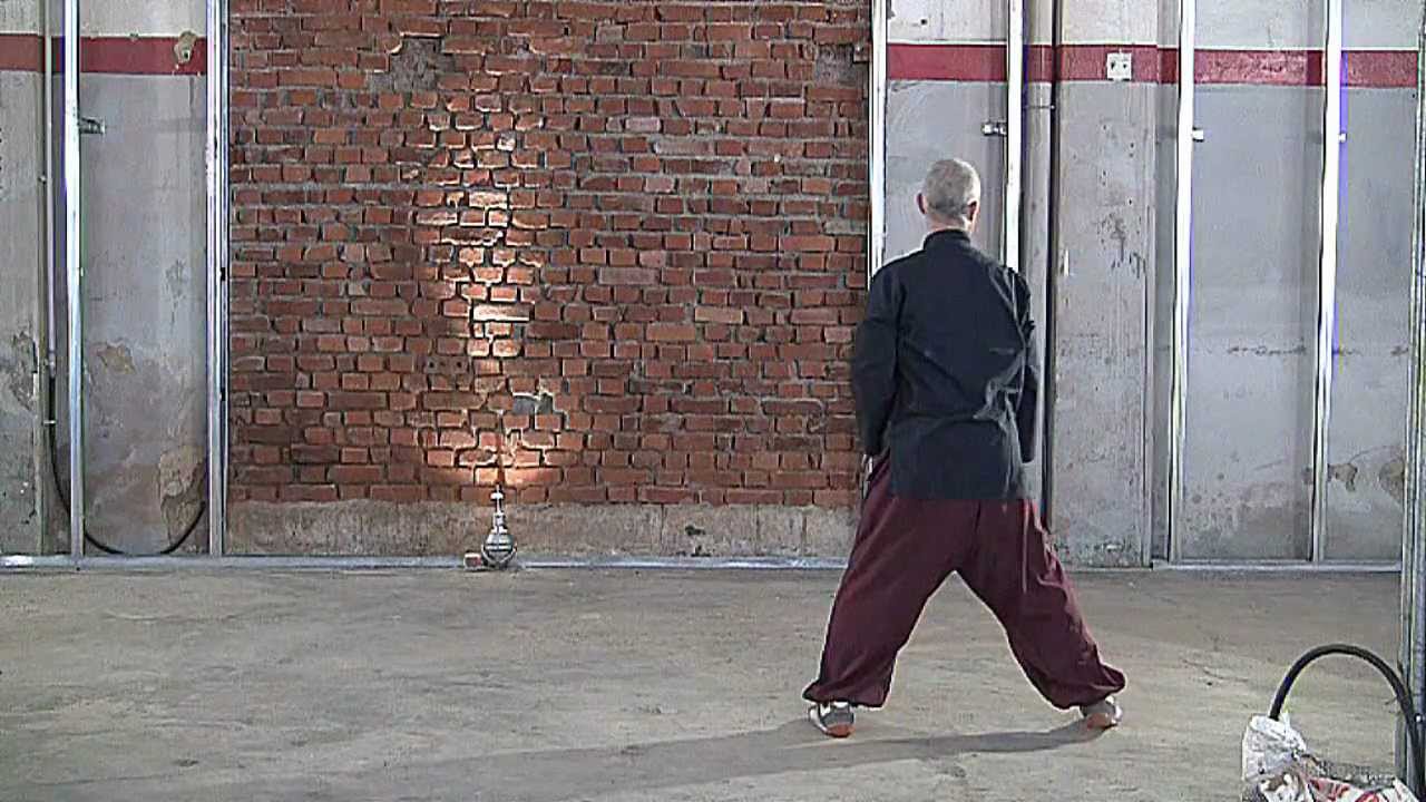 Tai Chi Lesson 3 for beginners (principianti).Prima forma vista da dietro,di miclub e carlo bruno