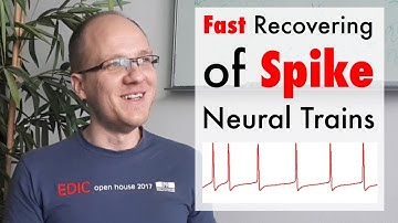 Fast Recovering of Spike Neural Trains (ft. Slobodan Mitrović)