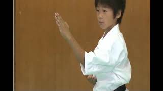 Kyokushin Kata Explanation - Pinan Sono Ichi (1)
