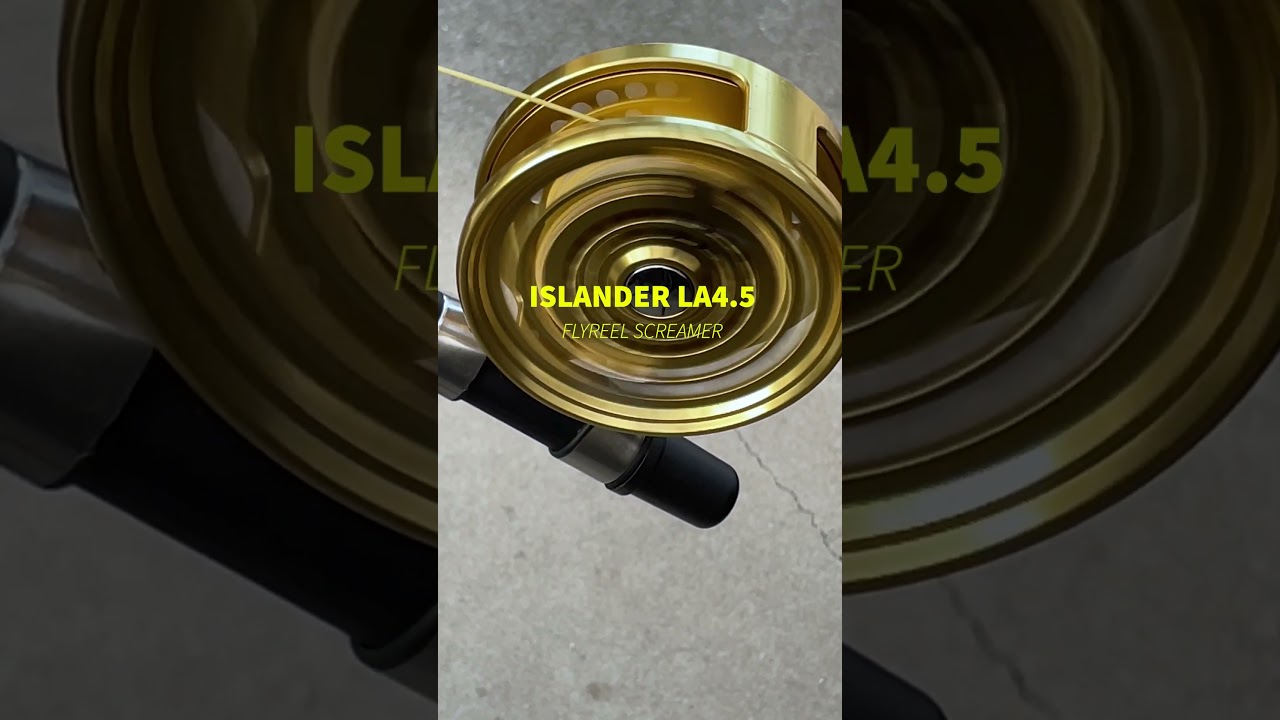 逆回転】アイランダー LA4.5 #Shorts #アイランダー #フライリール