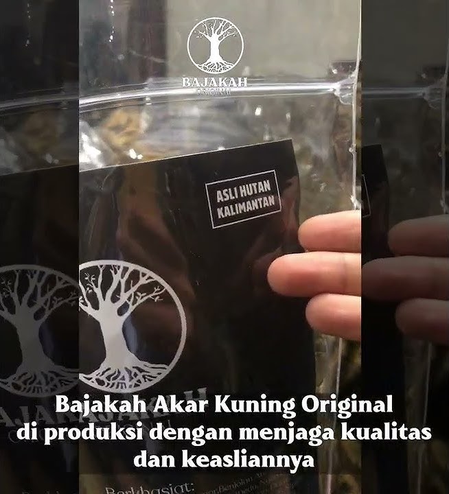 Manfaat Bajakah Akar Kuning Kalimantan