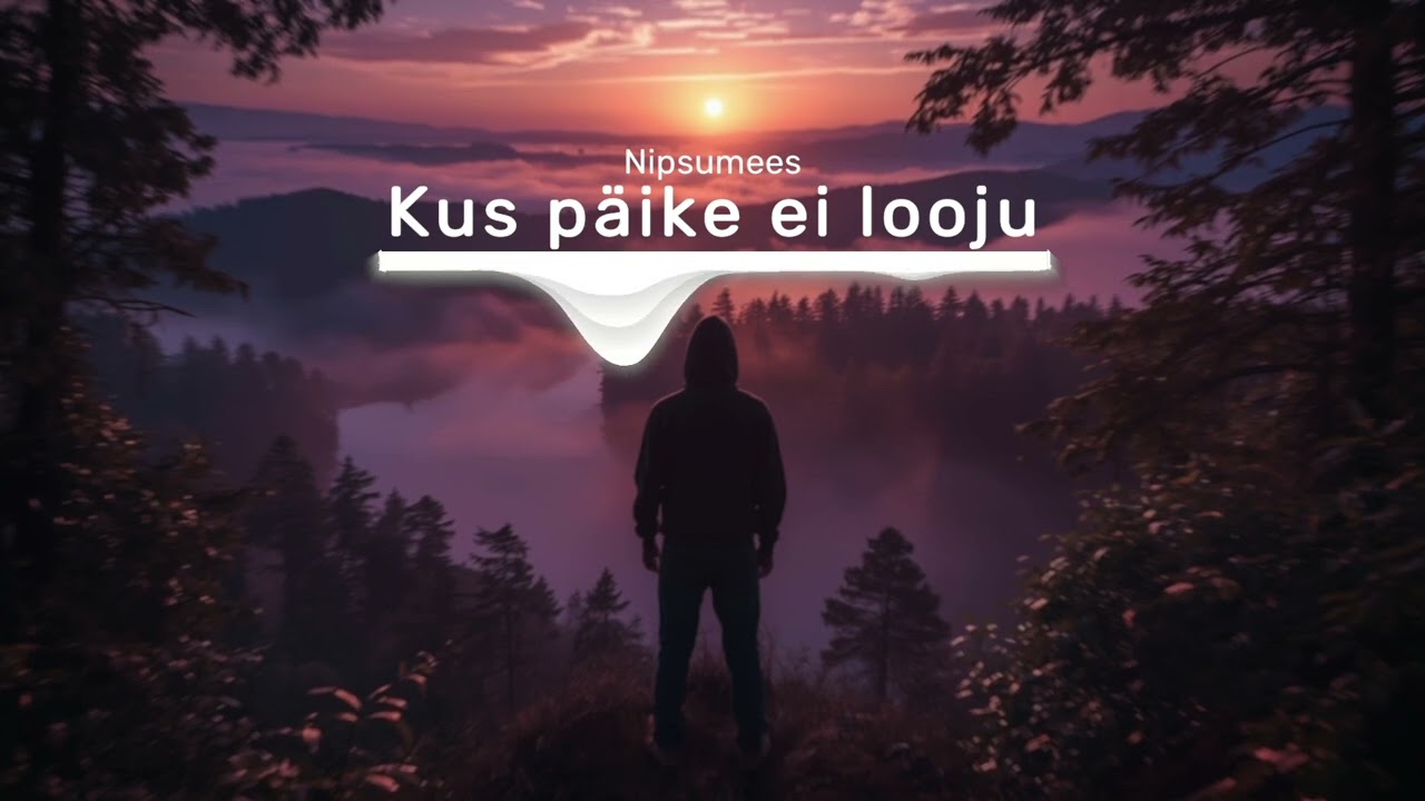 Nipsumees - Kus päike ei looju (Liquid DnB)