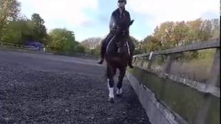 Rebecca Cowderoy & Rabbit Freestyle Music - Global Herbs Ltd