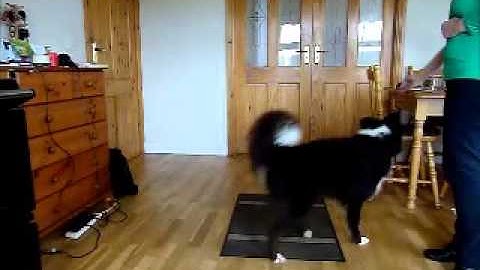 Pippa Positive Interrupter.mp4