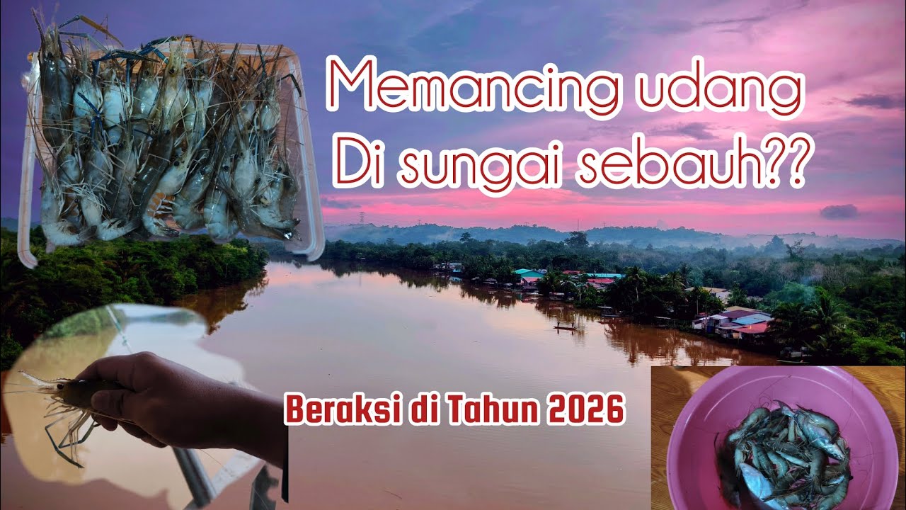 Trip Memancing || Memancing Udang Dan Sebagainya , Sewa tongkang di Sg.Sebauh . Ada Manis Gaiss