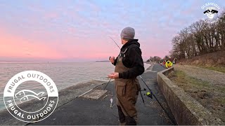 First Match fishing session of the year in the Solent Sea Fishing uk Isle of Wight
