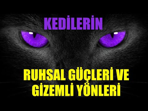 Video: Kedi ile Yeşil Gitmek İçin 5 Yol