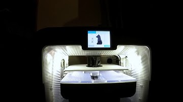 First 3D print timelapse - low poly fox from thingiverse