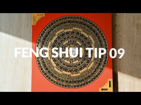 Video: Die Bedeutung Der Schildkröte Im Feng Shui