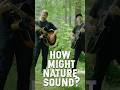 HOW MIGHT NATURE SOUND? MAZOTTI _ New EP "Acoustic Echoes" #acousticguitar #lofimusic #naturesounds