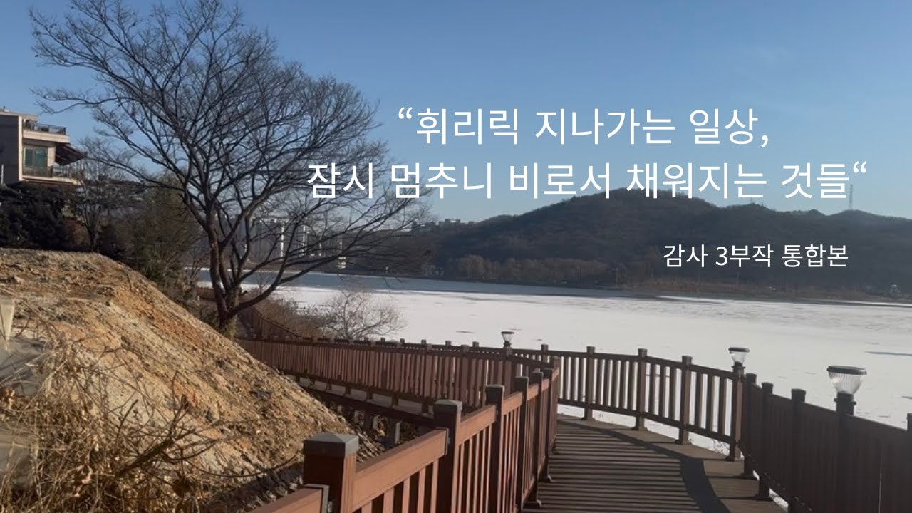 50대 브이로그 일상 [감사 3부작] 휘리릭 지나가는 일상, 잠시 멈추니 비로소 채워지는 것들 ❄️
