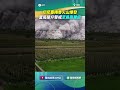 印尼塞梅魯火山爆發