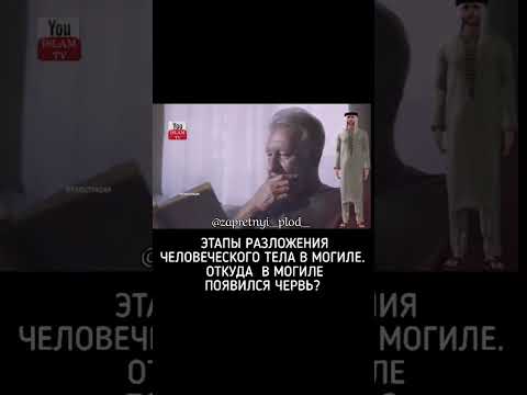 Этапы разложения человеческого тела в могиле после смерти