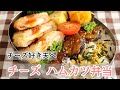 【チーズ好き弁当】#123 チーズハムカツ～bento