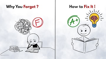 How To Absorb Everything You Read Like A Sponge