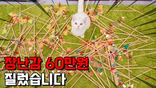 I Made 100 Toys For Cats (ENG SUB)