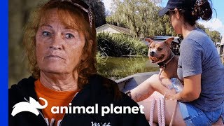 Pit Bull Has To Pass 'Boat Test' Before Adoption | Pit Bulls & Parolees