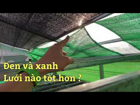 Video: Lưới Mặt Dựng Công Trình: Lưới Che Nắng Bảo Vệ Màu Xanh Cho Giàn Giáo Và Lưới Chống Kiềm Có Tỷ Trọng 35-40 G M2 Và Các Tỷ Trọng Khác