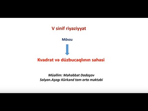 Video: Çiçək Qabları (66 şəkil): Hündür Düzbucaqlı Və Kvadrat çiçək Qabları, Qapalı Bitkilər üçün Ağ Düz Və Uzun şüşə Qablar