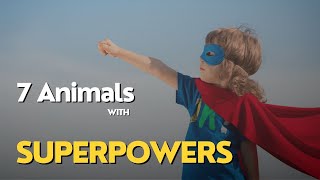 7 Animals with Superpowers
