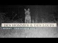 LOUP FRANCE 2020 | (Extrait série-documentaire Des Hommes &amp; Des Loups) |