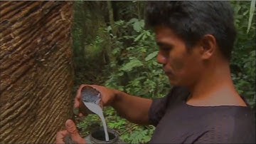 +Three°°° Native Treetap (rubber) how we made.